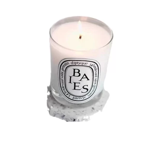 DIPTYQUE Holiday Carousel Candle
2 pc set with Carousel - Image 2