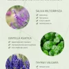 JOYPRETTY Herbal Acne Cream - Image 10